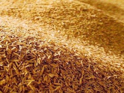 Under the influence of the international environment innovation, technology innovation, energy saving, environmental protection and material reuse, the use of rice husk is also increasingly interested by people.